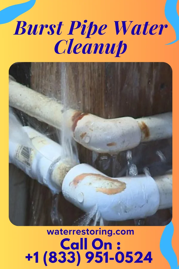 Burst Pipe Water Cleanup in St. Petersburg, PA