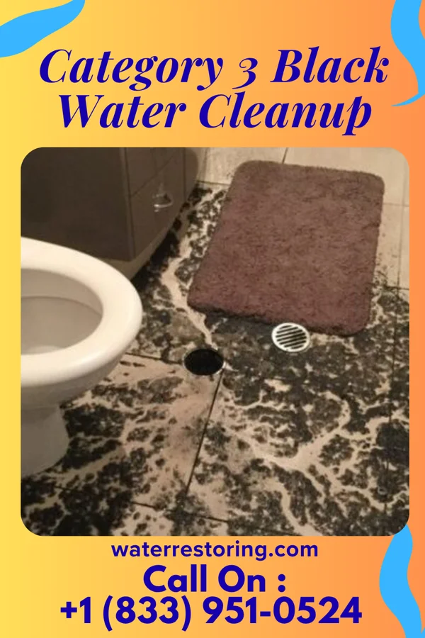 Category 3 Black Water Cleanup in St. Petersburg, PA