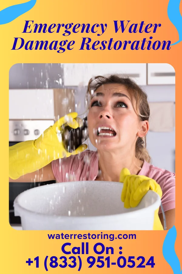 Emergency Water Damage Restoration in St. Petersburg, PA