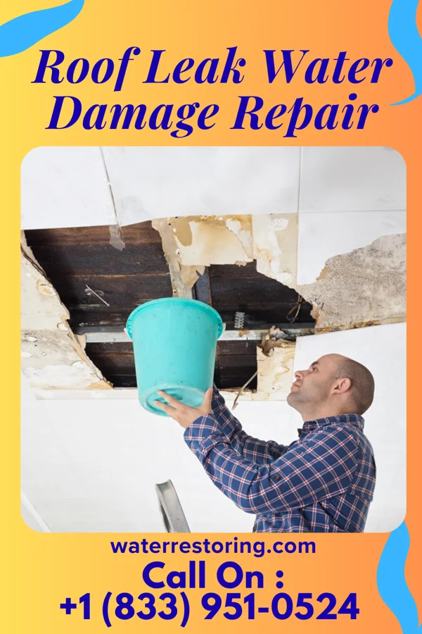 Roof Leak Water Damage Repair in St. Petersburg, PA