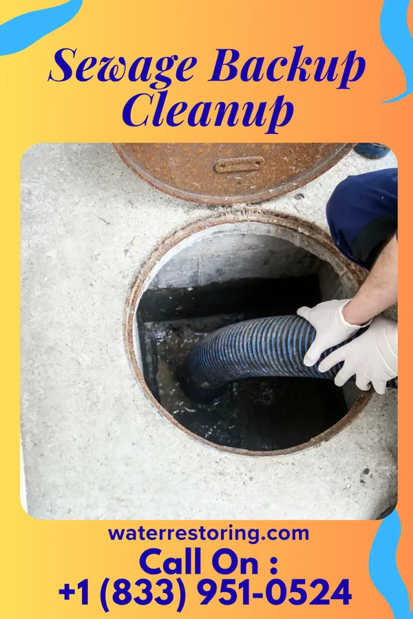 Sewage Backup Cleanup in St. Petersburg, PA