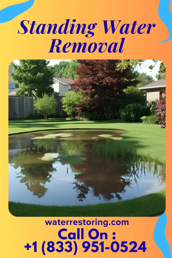 Standing Water Removal in St. Petersburg, PA